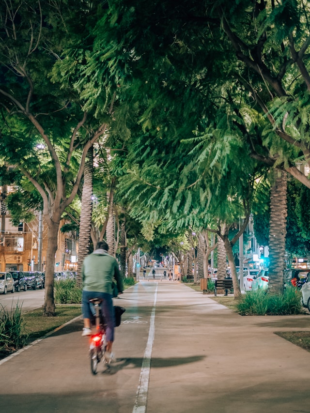Obrázek médií: Install more shaded seating areas in parks