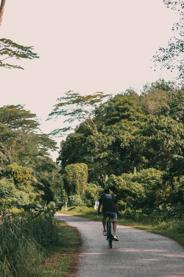 Mediakuva: Launch Green Corridors in Urban Spaces
