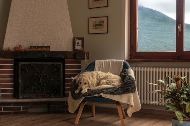 Imatge pels mitjans: Facilitate Home Insulation Grants